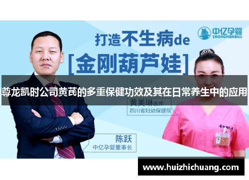 尊龙凯时公司黄芪的多重保健功效及其在日常养生中的应用